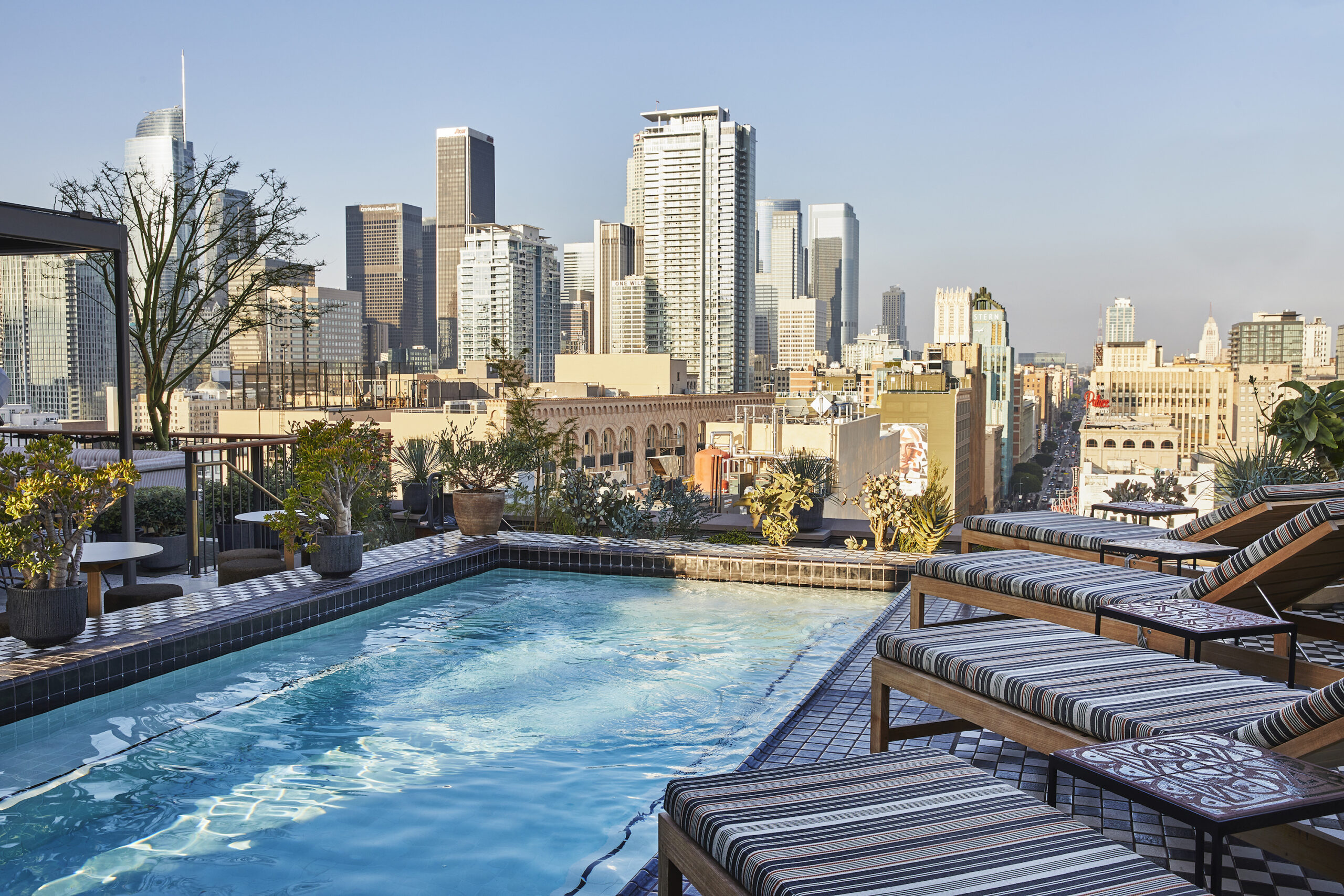 Rooftop pool in Los Angeles